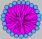 Micelle